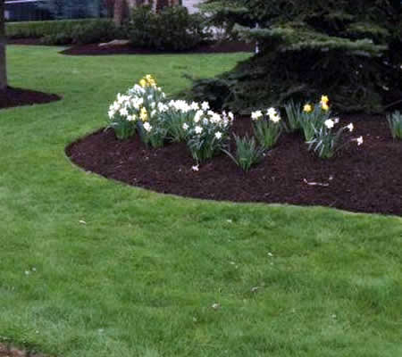 Chester Springs Landscaping Maintenance near me