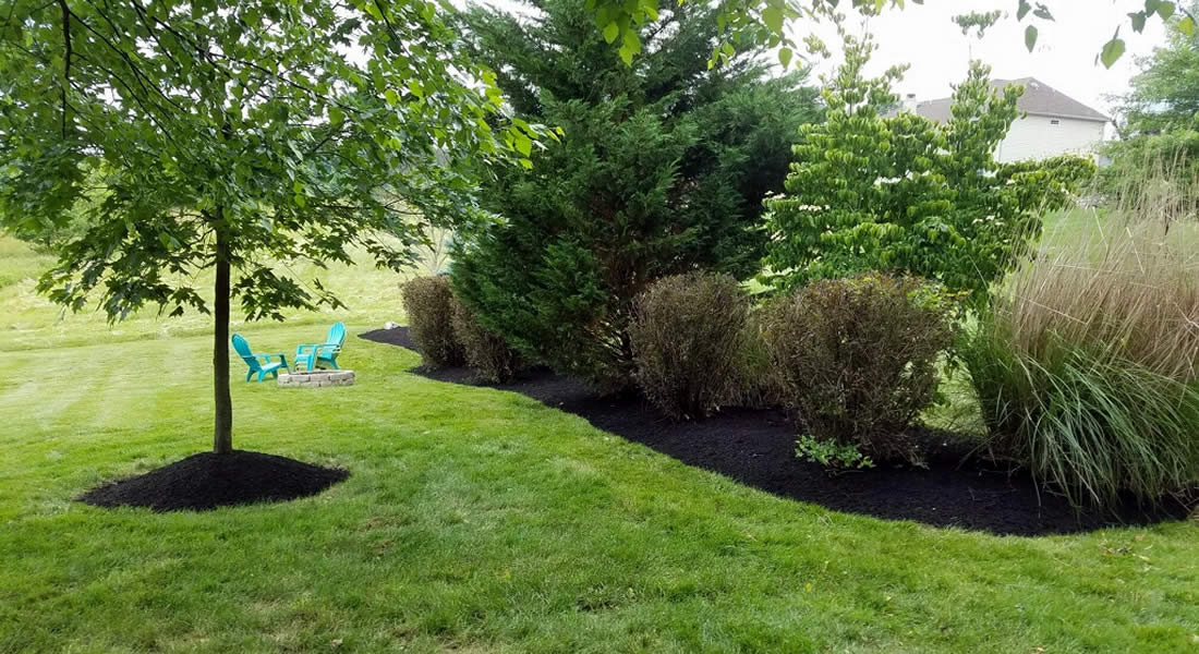 Tree Care and Mulching Exton