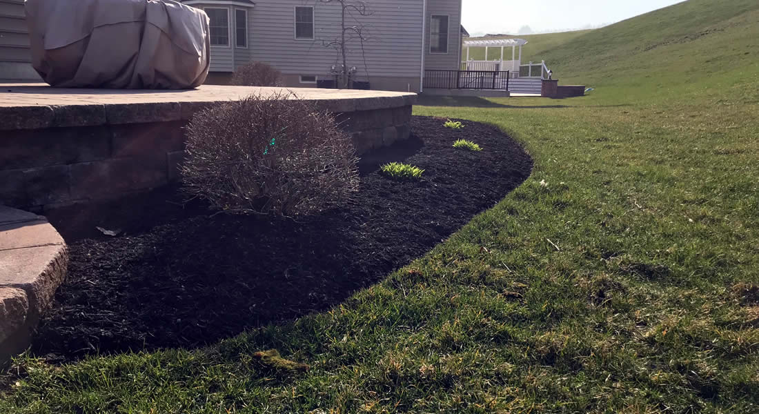 Landscaping Services Chester Springs