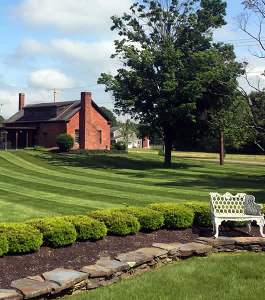 residential lawn care services